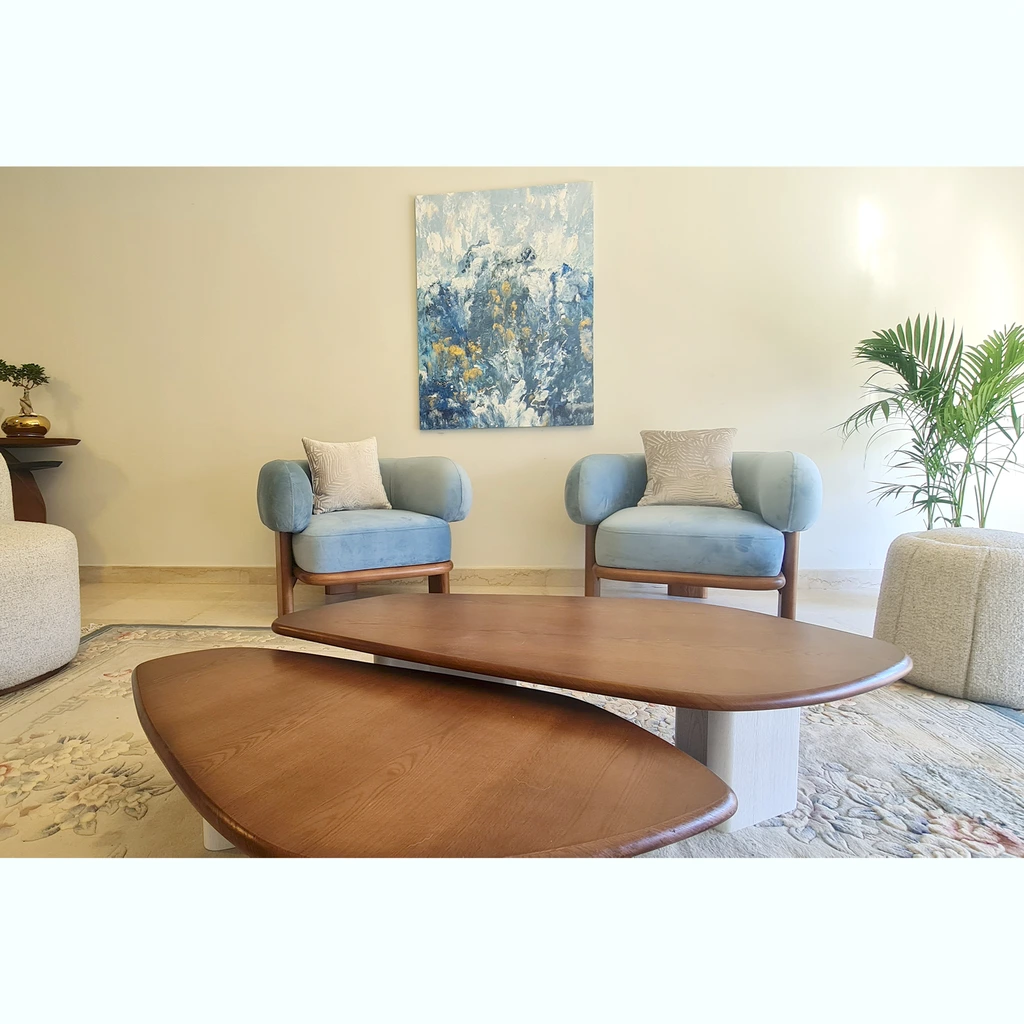 Pebble Coffee Table ( Two Pieces ).png