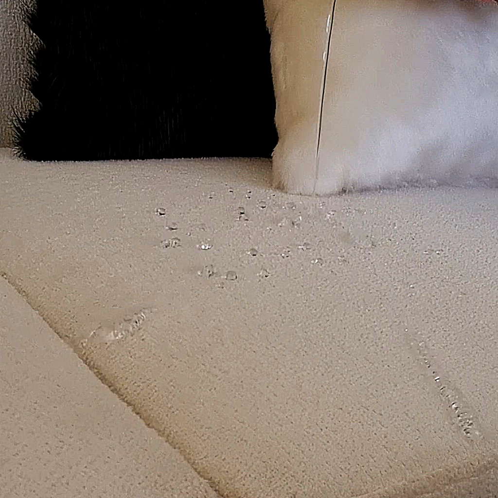 [P230000137502] Liquids Repellent Layer For Dining Chair