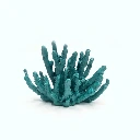 Atlantis Flora