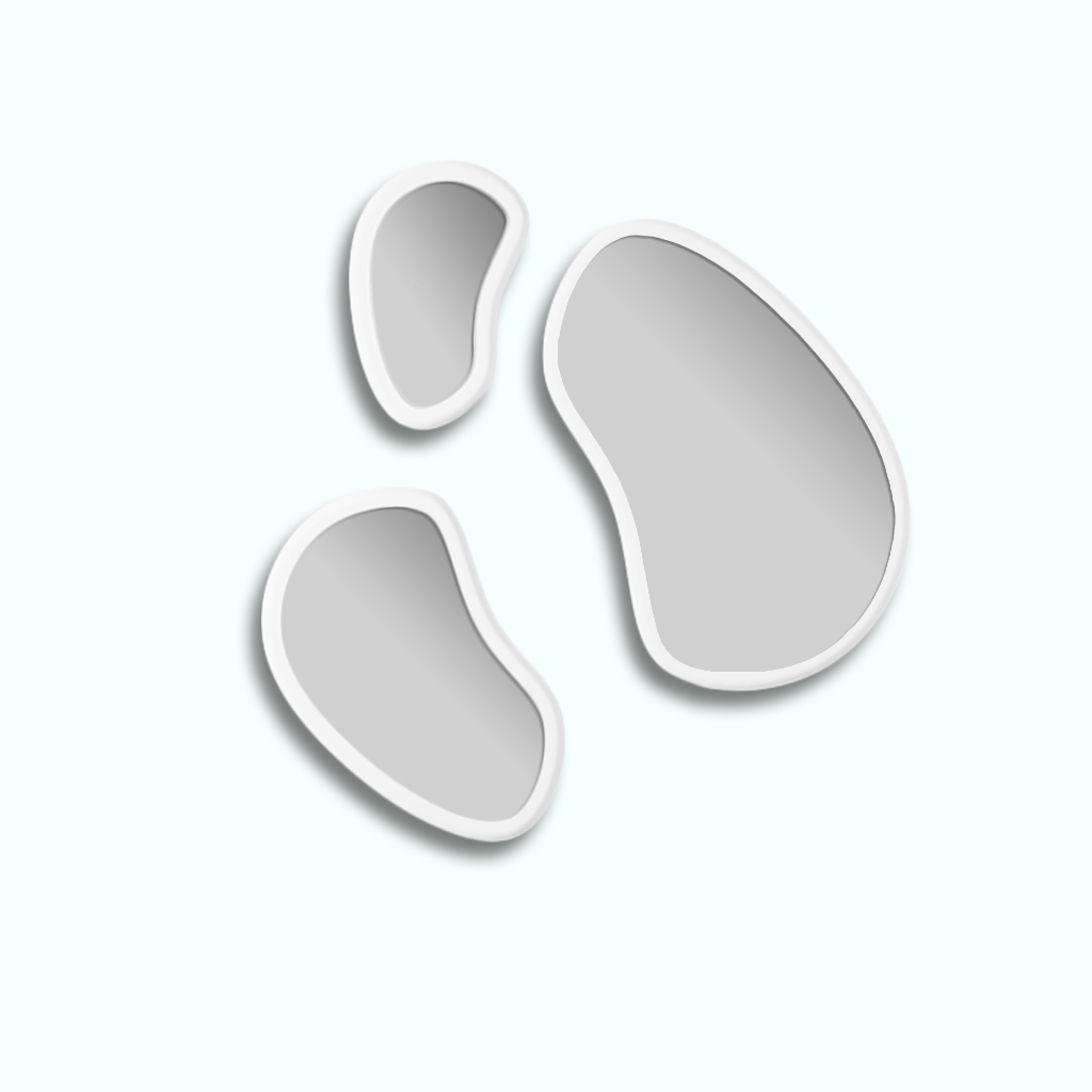 AMOEBA Mirror