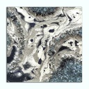 Printed Canvas Artwork