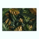 Printed Canvas Artwork